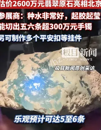 2600万翡翠原石